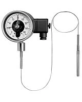 TFChg 160 Mgh (-60...+60)°С FL=5,0м A7.1 10х100мм 1/2"NPT(Н) tu=-60°С УТ000009154