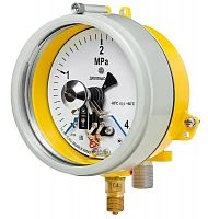 ДМ2005ф Сг1Ехd 6 МПа кл.1,5 исп V  УТ000010680