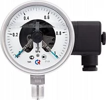 ТМ-521Р.05(0-2,5)MPa.М20х1,5.1,5 ЭКМ исп.V  СИЛИКОН УТ000004554