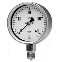 RCh (G) 100-3 160 bar/psi 1/2"NPT Нерж.Сухой УТ000003038
